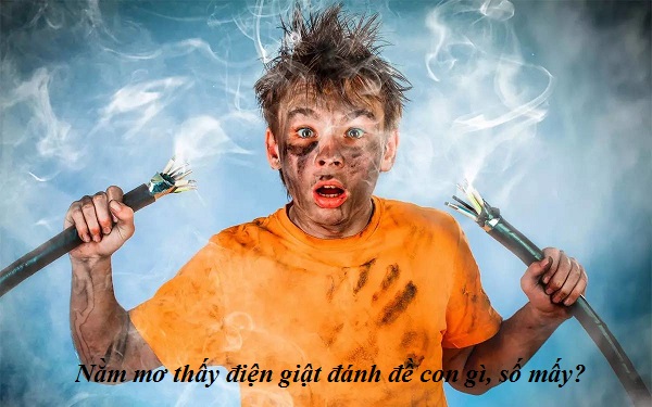 diengiat-1 Nằm mơ thấy điện giật đánh đề con gì, số mấy?